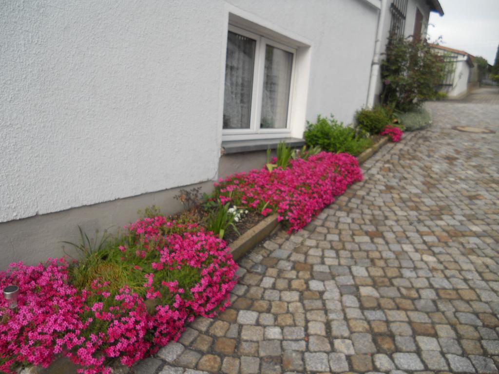 Ferienhaus Zittau Oberlausitz & Ferienwohnung Am Hamann Berg Exteriör bild