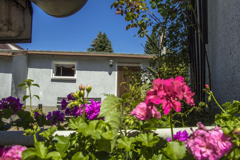 Ferienhaus Zittau Oberlausitz & Ferienwohnung Am Hamann Berg Exteriör bild